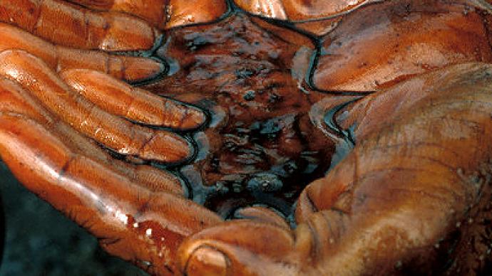 Georgian householders strike oil
