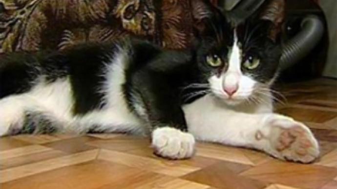 Rescue cat gets Emergencies Ministry award