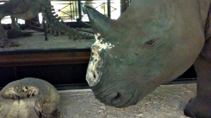 Museum thieves fooled by worthless fakes