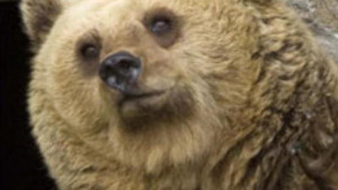 Romania: Bear mauls U.S. tourists, 1 dead (CNN.com)