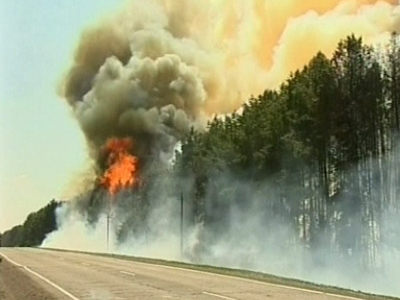 Siberia ablaze: Raging forest fires engulf five Russian regions