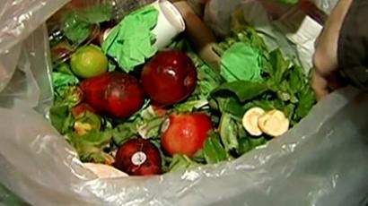 Over a quarter of US kids on food stamps, under-50s dying young – reports 