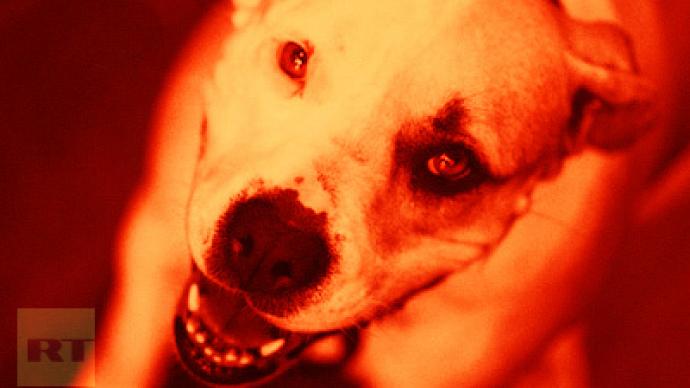 Woman dies after brutal dog attack in Russia