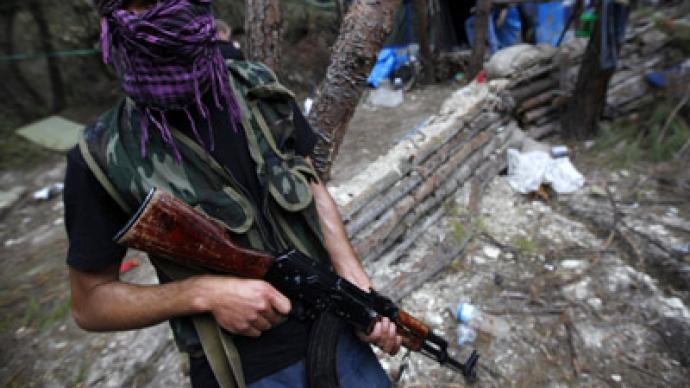 ‘External forces hampering truce in Syria’ – Lavrov