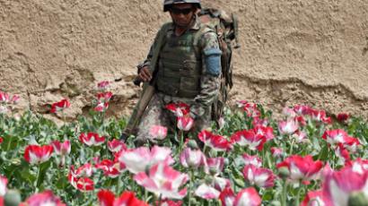 SCO leaders support Putin’s peace plan for Ukraine