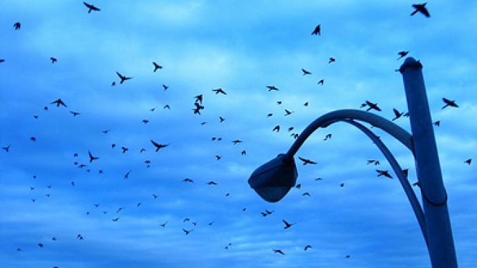 Alien contact: Bird deaths due to CIA, UN targeting human life