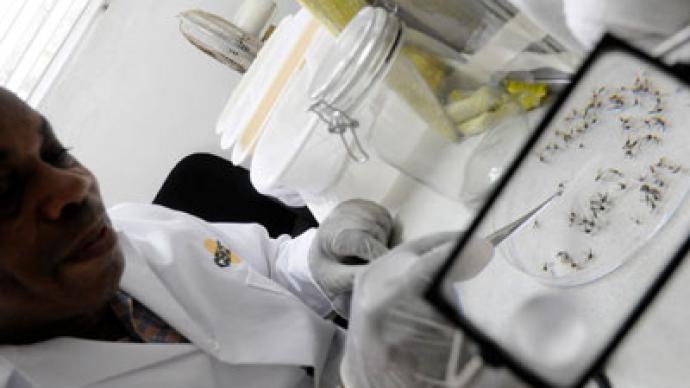 Florida scientists prepare to release hundreds of thousands of genetically modified mosquitoes