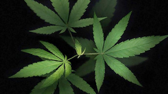 Marijuana conviction lands US man in prison for life
