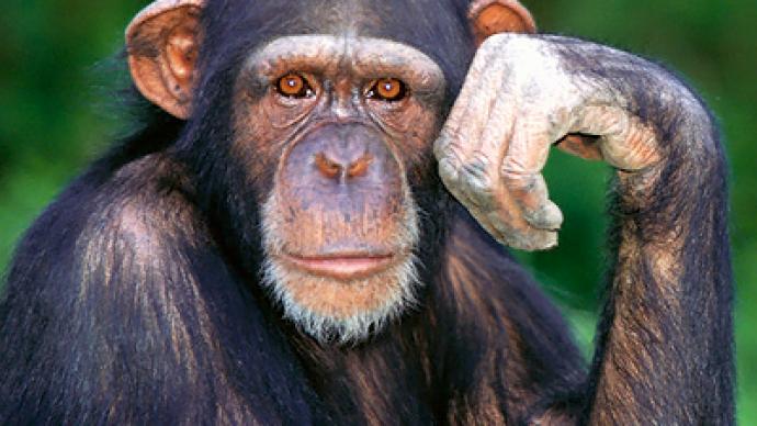 GOP official depicts Obama as a chimp