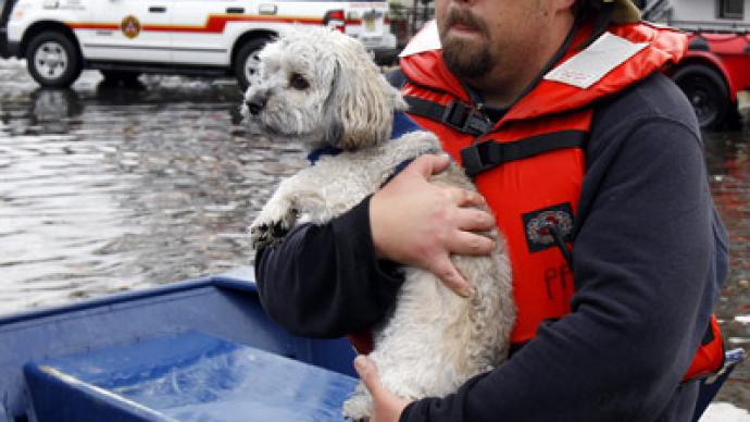 Hurricane Sandy leaves thousands of pets in need (PHOTOS)