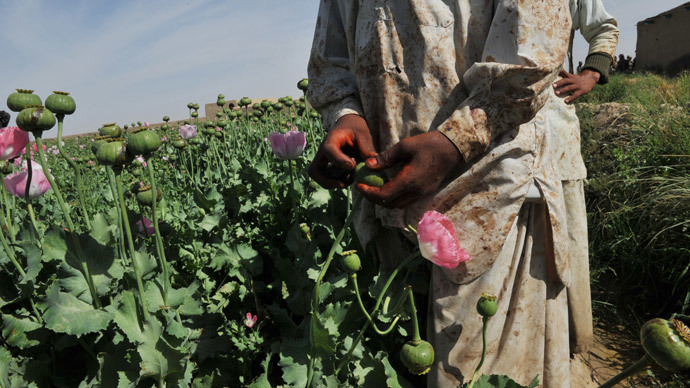 Poppy revolution in Afghanistan to follow the elections?