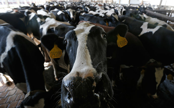 Reuters / Jim Young