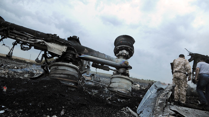 A man wearing military fatigues stands next to the wreckages of the malaysian airliner carrying 295 people from Amsterdam to Kuala Lumpur after it crashed, near the town of Shaktarsk, in rebel-held east Ukraine, on July 17, 2014.(AFP Photo / Dominique Faget)