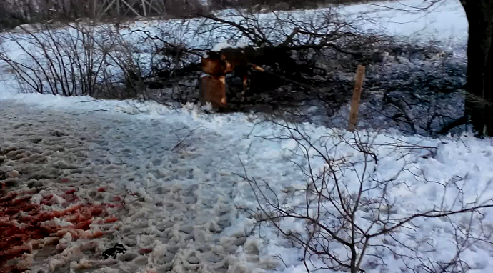 Screenshot from YouTube video