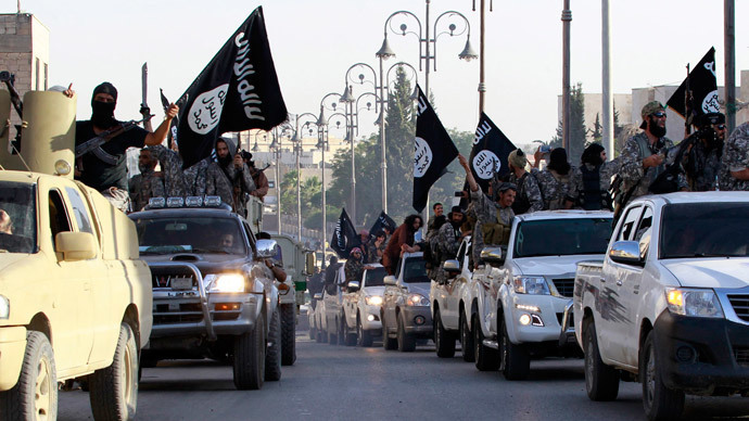 ‘Iraq is scapegoat in US fight against ISIS’