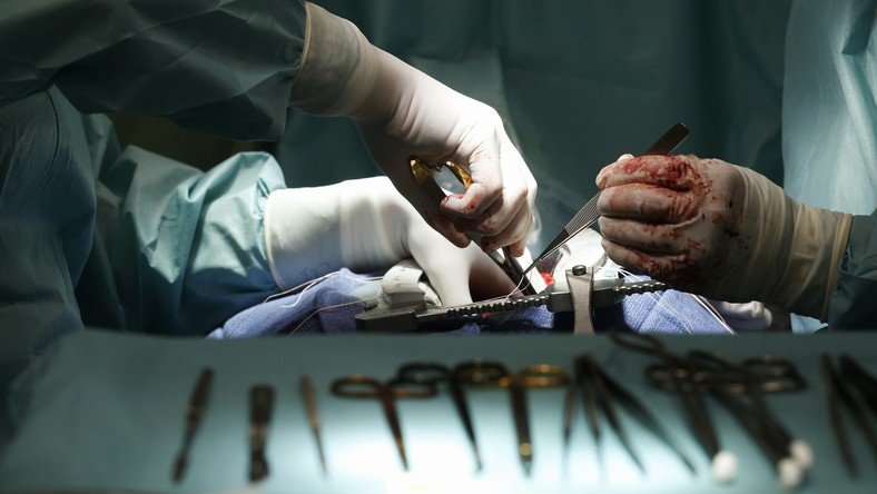 Espagne : des cellules souches pour traiter les conséquences d’une crise cardiaque