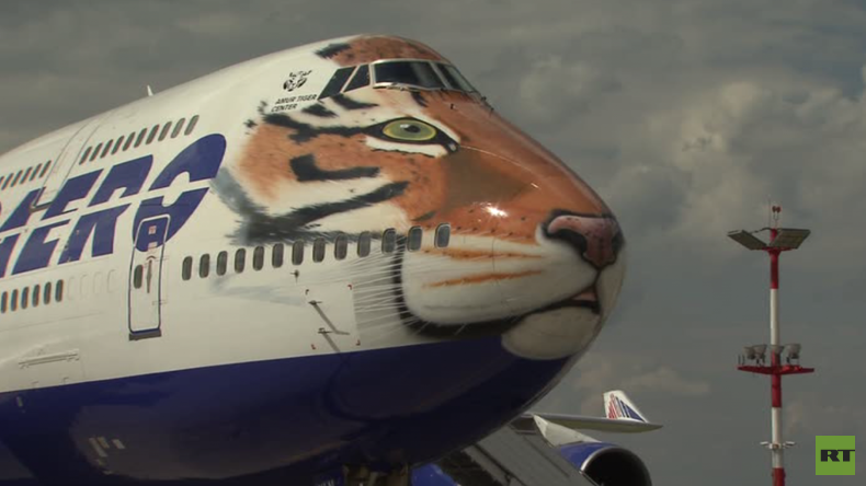 Le vol du tigre : Une compagnie aérienne s'engage pour la sauvegarde du grand félin