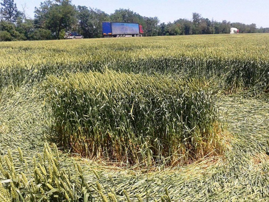 D’étranges cercles apparaissent dans un champ russe