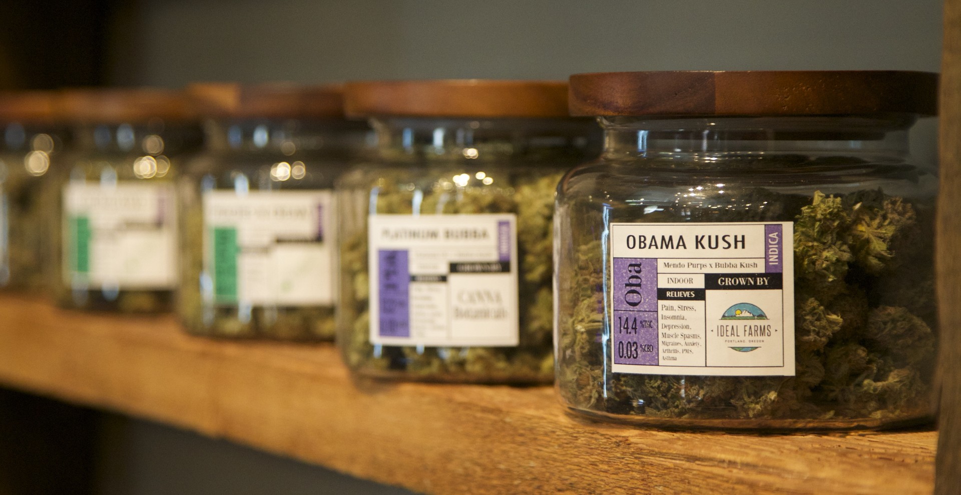 Le cannabis thérapeutique, un sujet toujours délicat en France