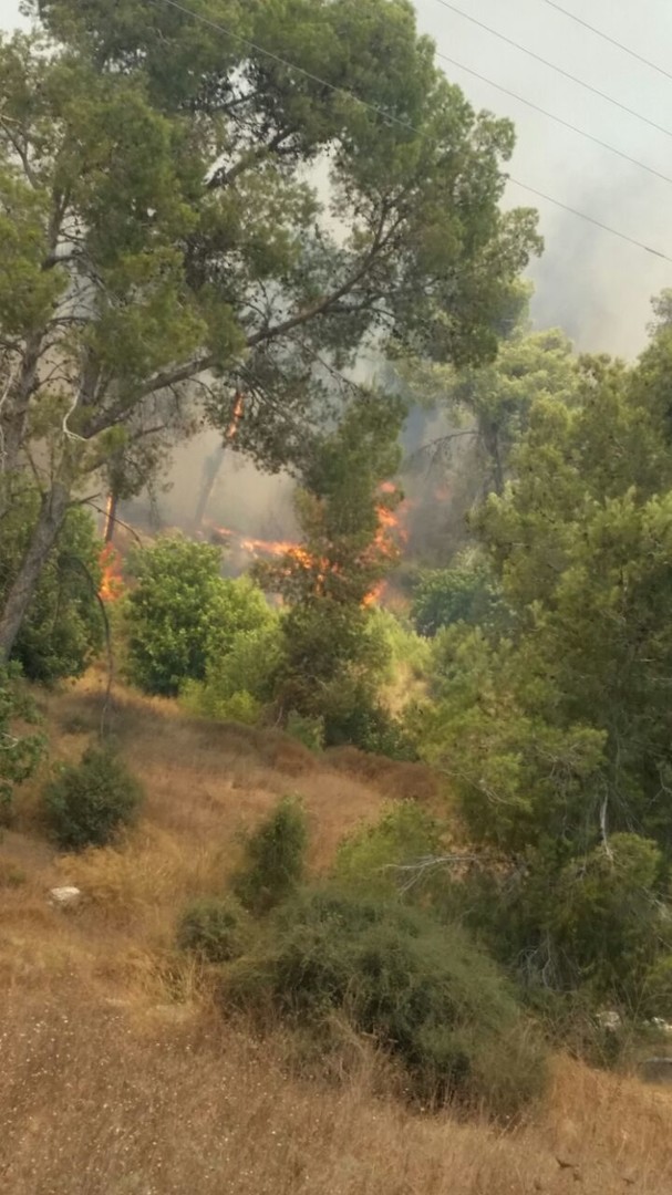 Immenses feux de forêt près de Jérusalem