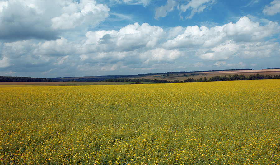 Un projet de loi permettrait à tout Russe de demander un hectare de territoire dans l’Extrême-Orient
