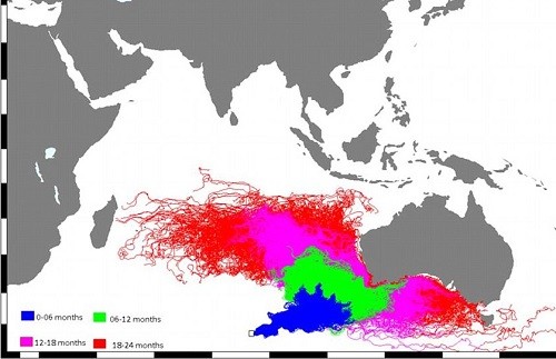 Des océanographes australiens avaient prédit que les restes du MH370 arriveraient à La Réunion
