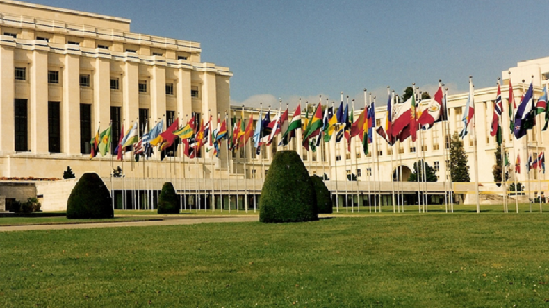 David, stagiaire non rémunéré à l'ONU le jour, SDF la nuit, a fini par démissionner