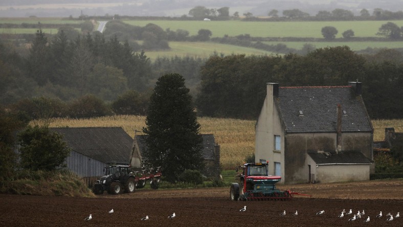 L’embargo agricole russe a provoqué des pertes importantes pour les agriculteurs allemands