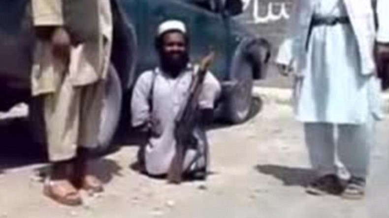 Syrie : un djihadiste nain gagne le surnom de Abu Ahmad al-Chihuahua !