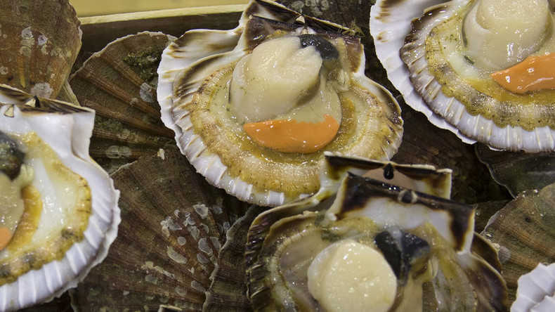 Guerre des coquilles Saint-Jacques : heurts entre pêcheurs français et britanniques