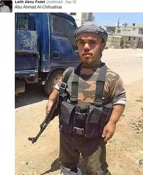 Syrie : un djihadiste nain gagne le surnom de Abu Ahmad al-Chihuahua !