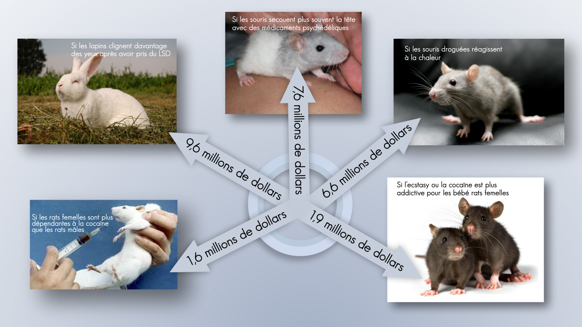 Les Etats-Unis ont dépensé 150 millions de dollars pour tester des drogues sur des animaux