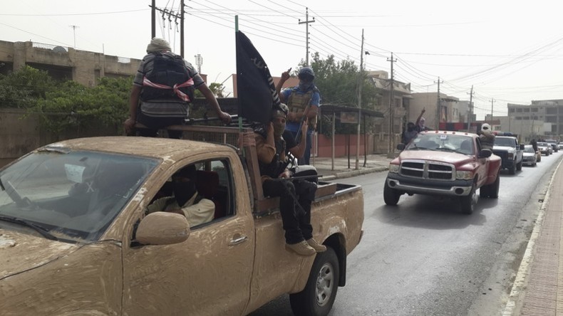 «Ils coupent des têtes» : les Syriens parlent à RT des atrocités de Daesh (VIDEO)