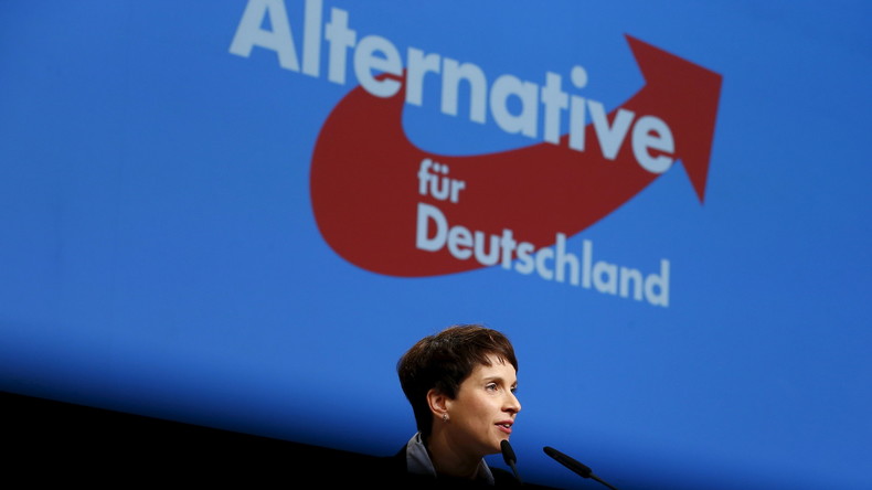 Les eurosceptiques allemands du AfD menacés par une réforme du financement des partis politiques