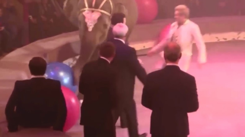 Des notables russes frôlent l’accident avec un éléphant de cirque qui a failli les renverser (VIDEO)