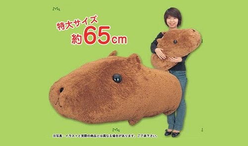 Noël : le meilleur des pires cadeaux à offrir (PHOTOS)