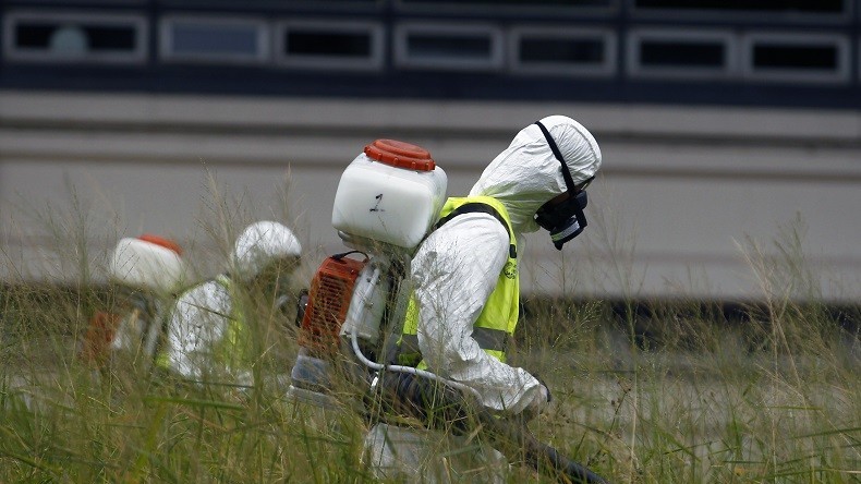 Après avoir frappé l'Amérique du Sud de plein fouet, le virus Zika s'attaque à l'Europe