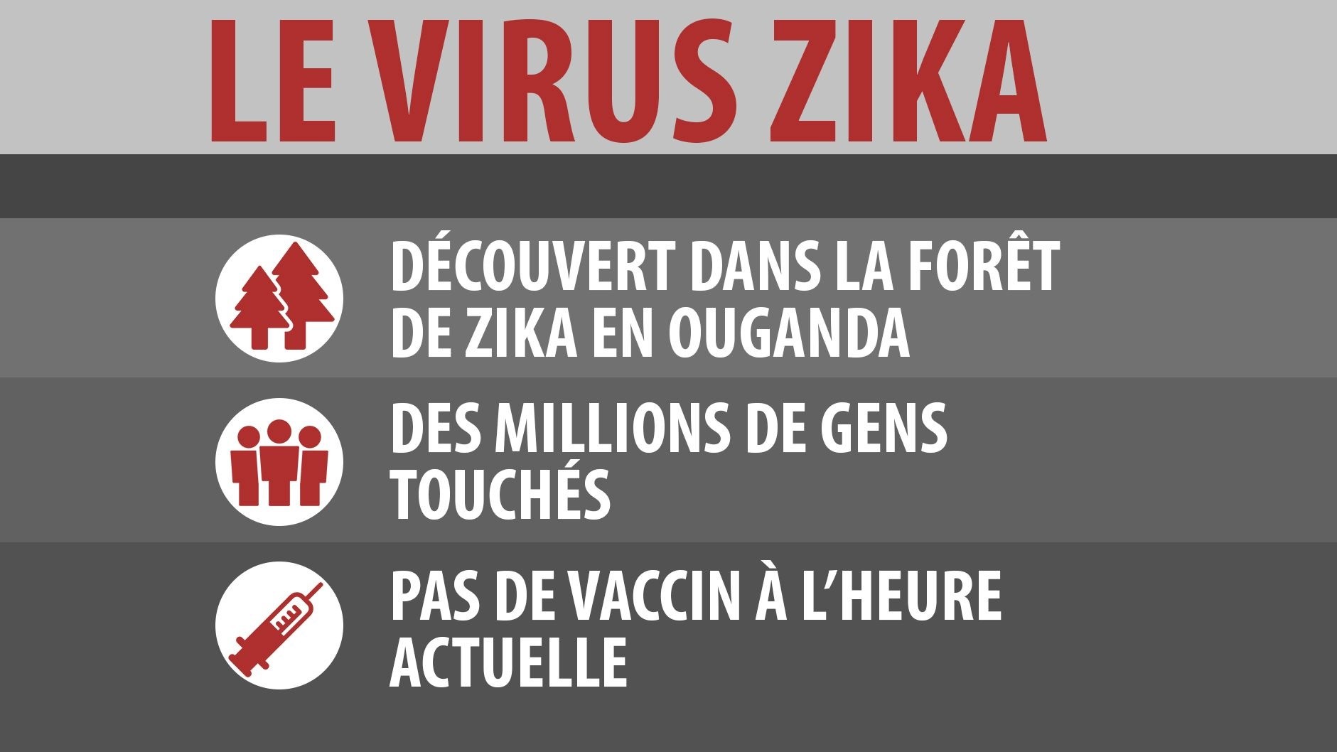 Après avoir frappé l'Amérique du Sud de plein fouet, le virus Zika s'attaque à l'Europe