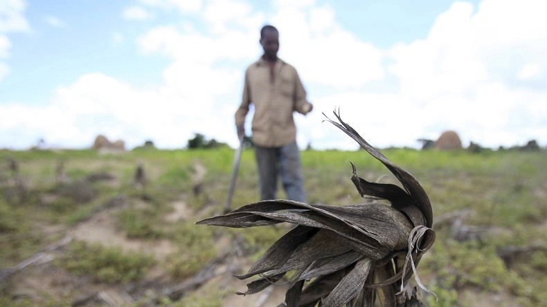 Zimbabwe : le gouvernement déclare l'état de catastrophe naturelle suite à une grave sécheresse