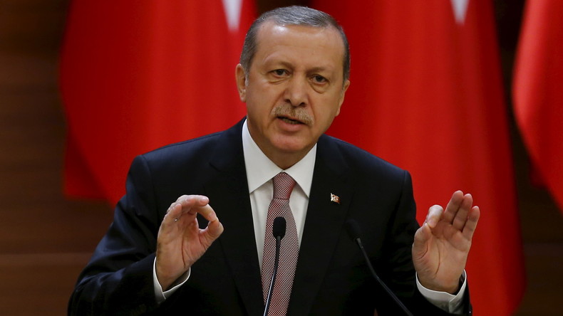 La Turquie joue le rôle le plus important dans la lutte contre Daesh, estime Erdogan