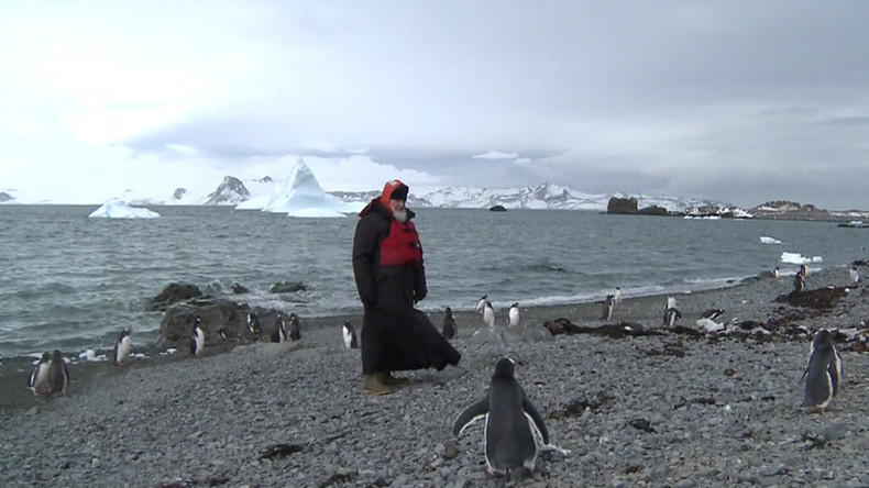 Le patriarche russe Cyrille s'est promené avec des manchots et a prié en Antarctique (VIDEO, PHOTO)