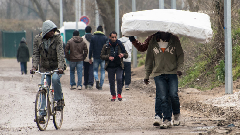 Loi sur le droit des étrangers : l'Etat affaibli face à l'immigration illégale ?