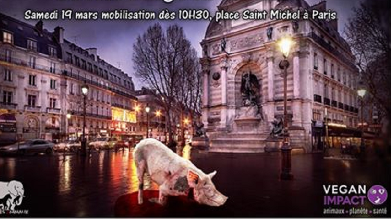Journée sans viande : l'association Vegan Impact organise un happening choc à Paris (VIDEO)
