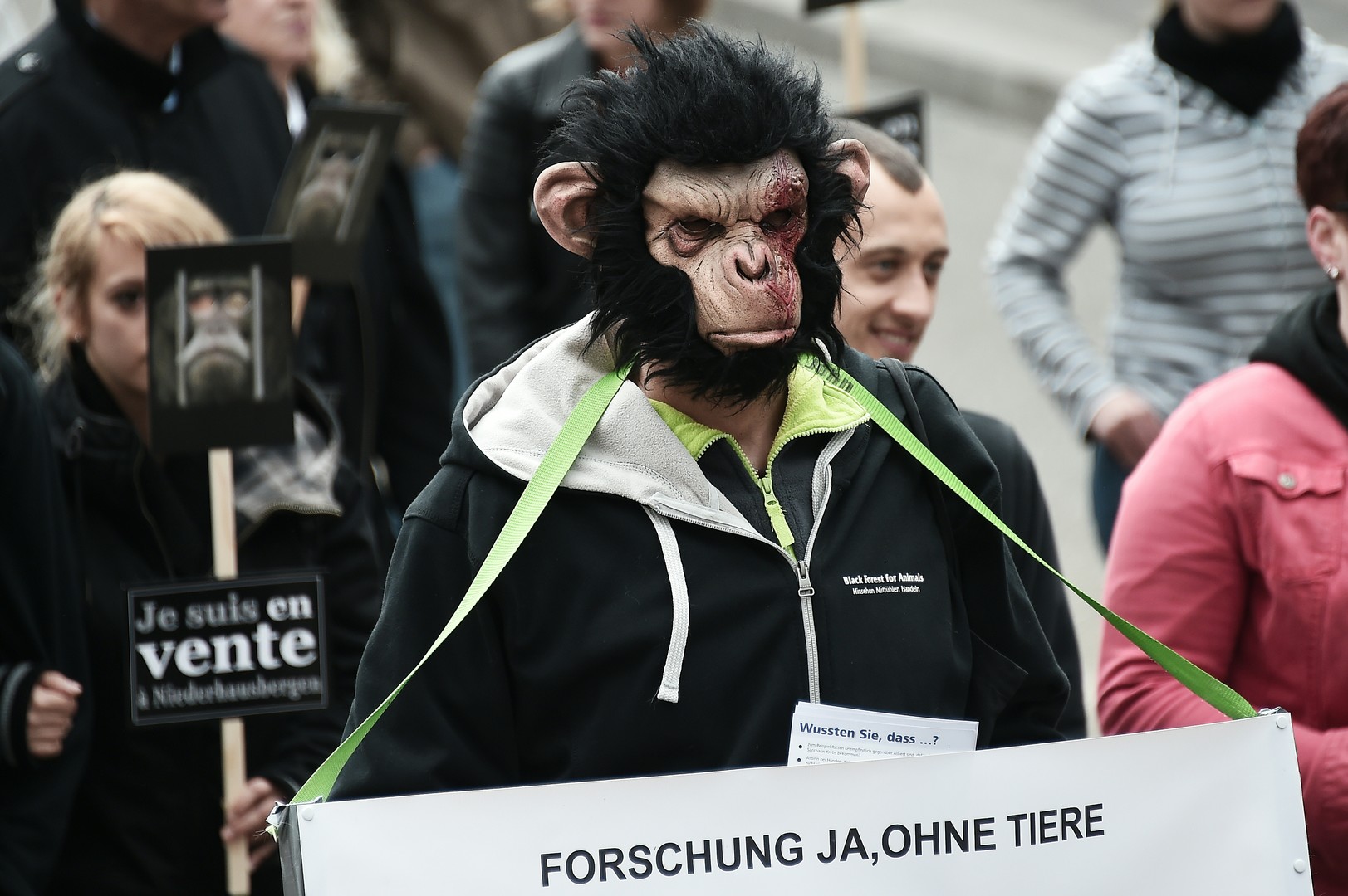 Défense des animaux : une «armée de singes» envahit les rues de Strasbourg (PHOTOS)