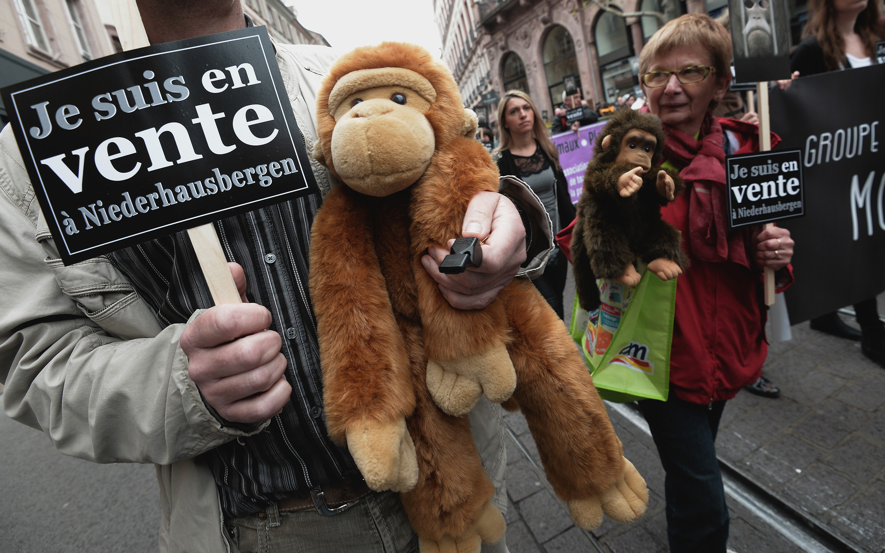 Défense des animaux : une «armée de singes» envahit les rues de Strasbourg (PHOTOS)