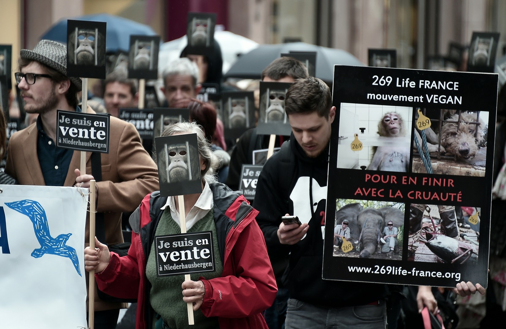 Défense des animaux : une «armée de singes» envahit les rues de Strasbourg (PHOTOS)