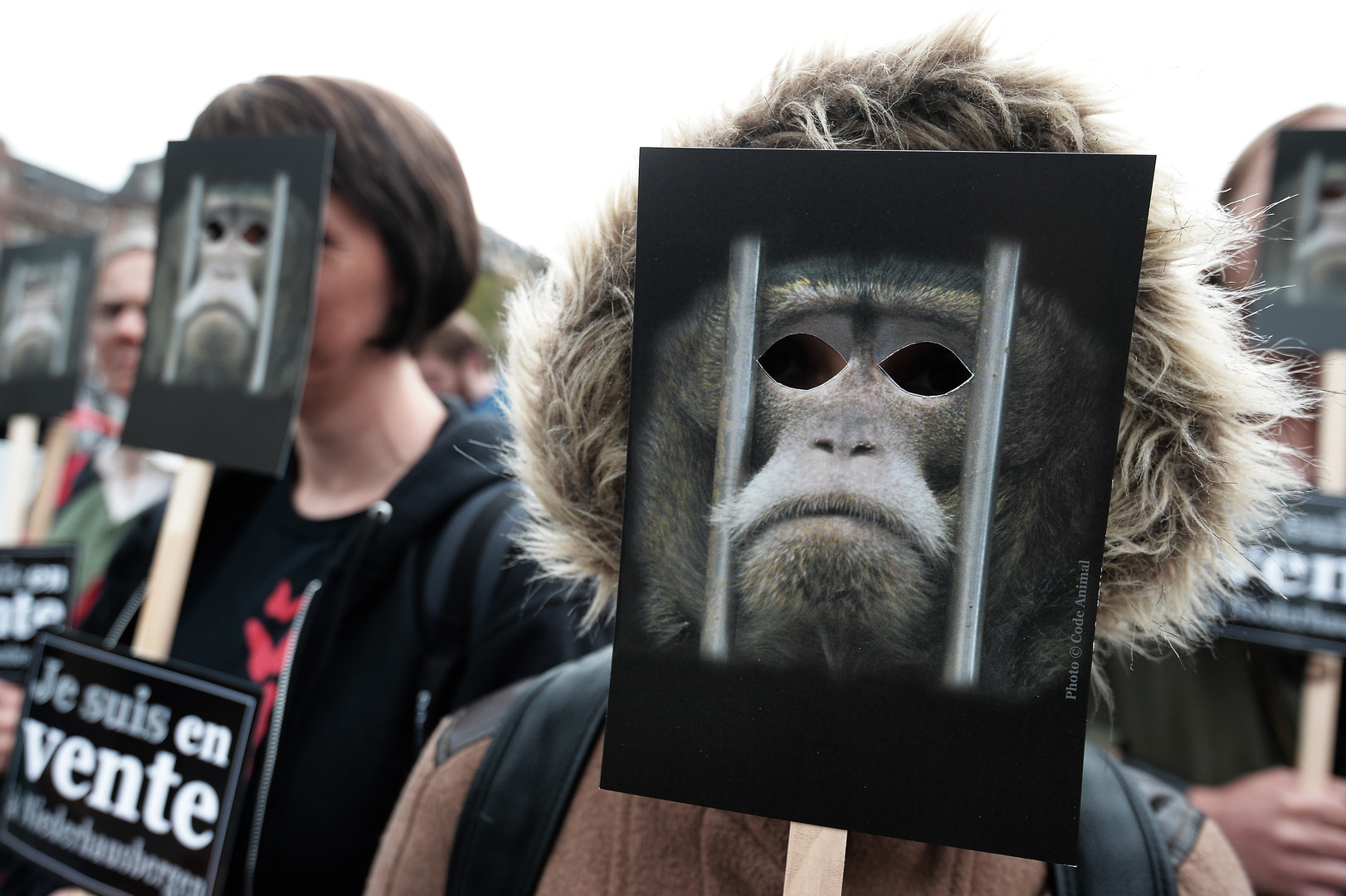 Défense des animaux : une «armée de singes» envahit les rues de Strasbourg (PHOTOS)