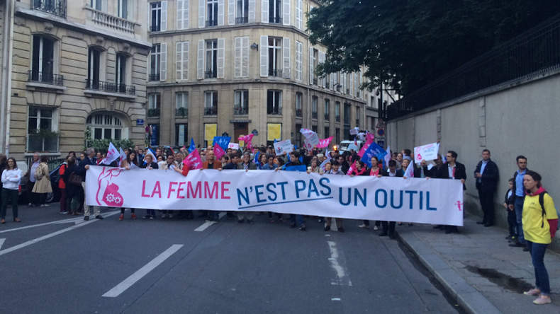 La Manif pour Tous défile à Paris pour protester contre la GPA (IMAGES)