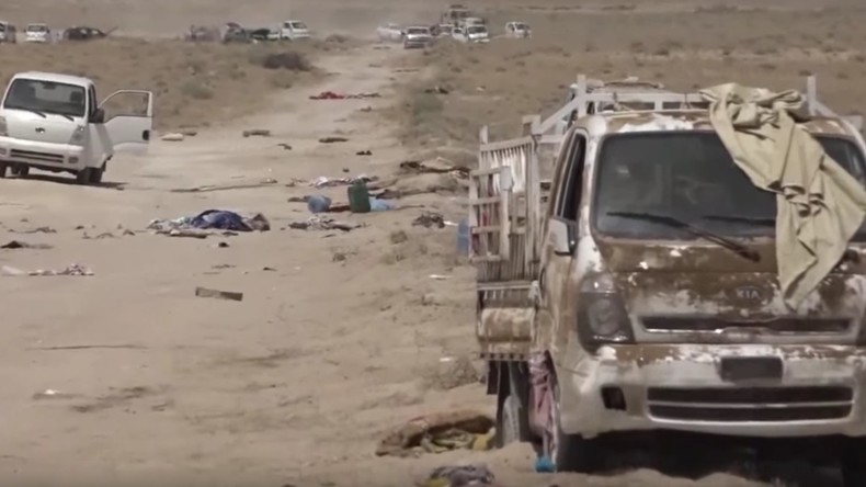 150 djihadistes et 260 véhicules de Daesh détruits par des frappes près de Falloujah (VIDEO)