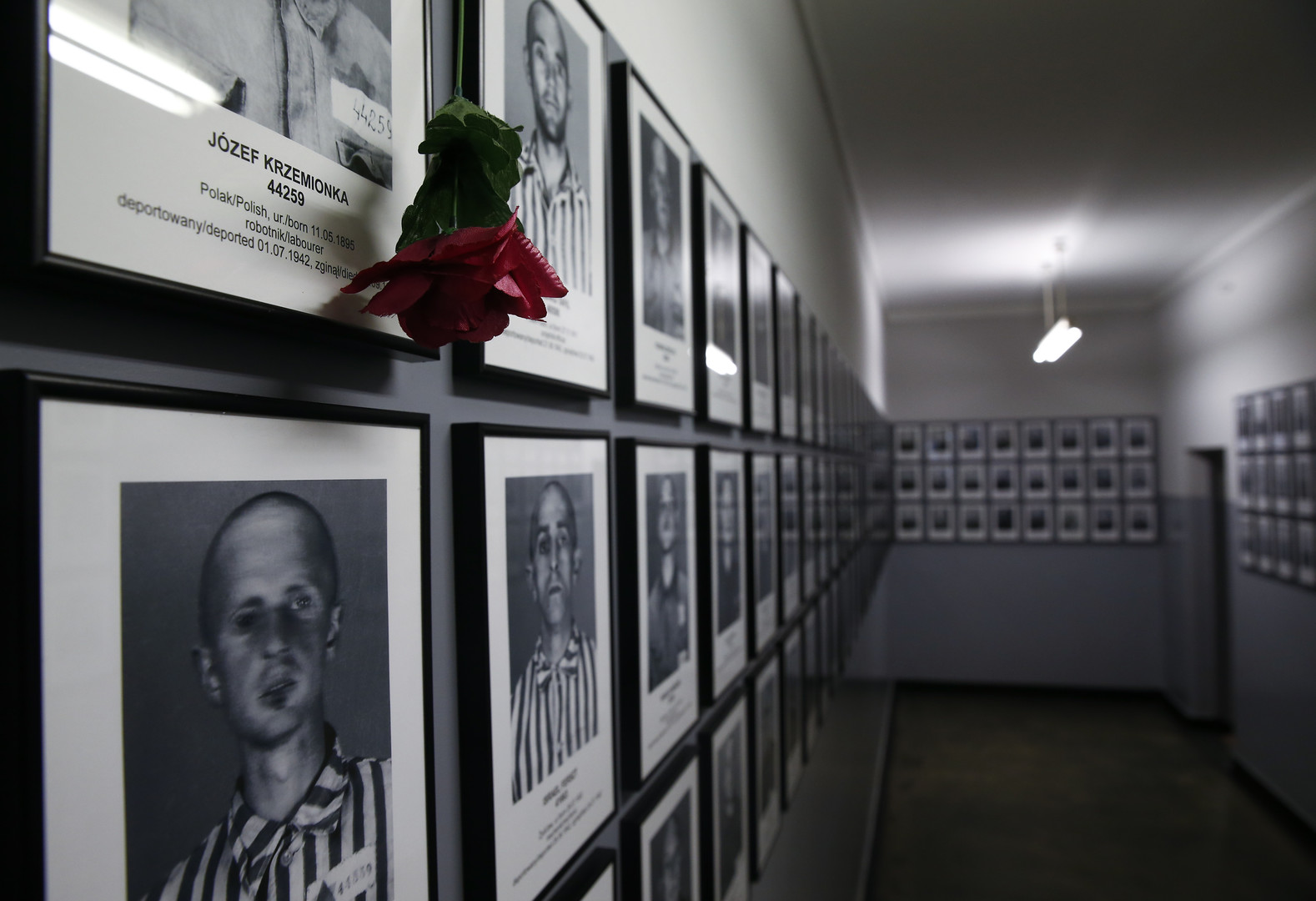Après plus de 50 ans, un présumé survivant américain d'Auschwitz reconnaît avoir tout inventé